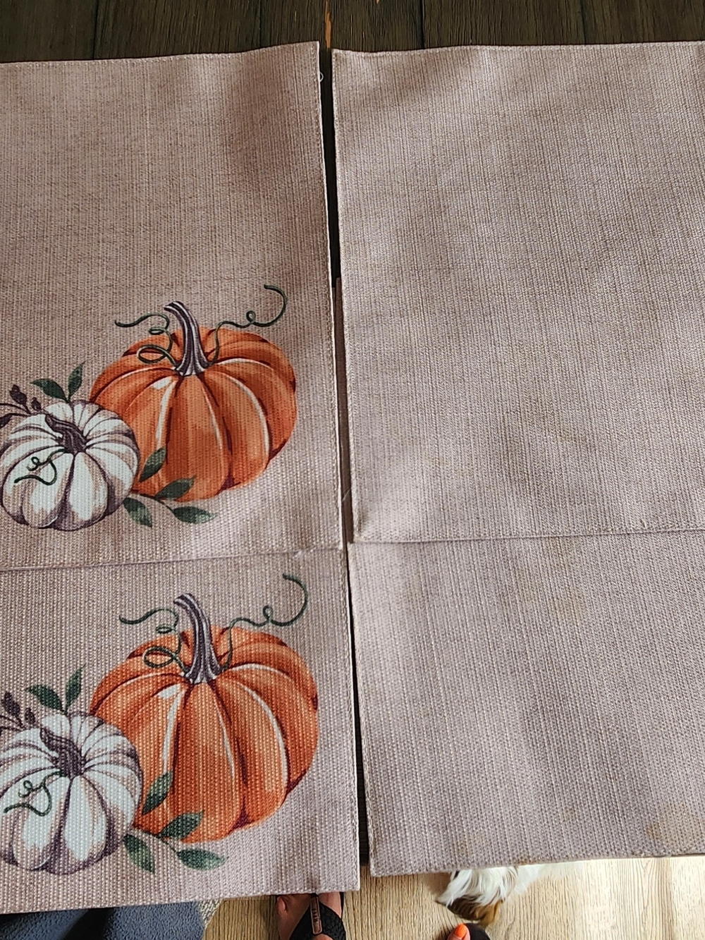 Autumn Pumpkin Placemats - Neutral & Orange Set
